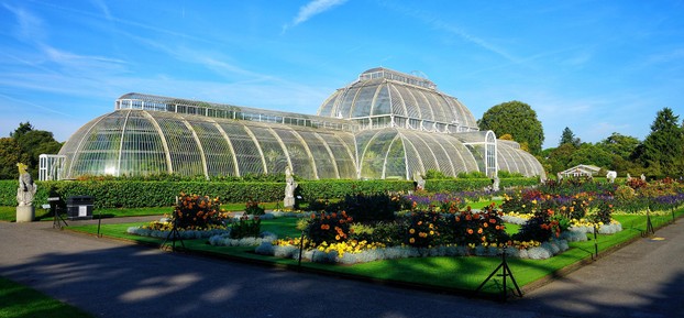 Palm House