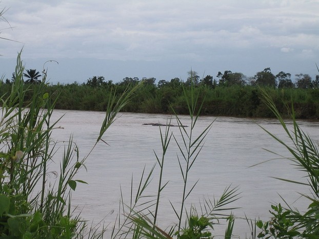 Ruzizi River