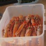 Preparation - clean the shrimps and chop the on...