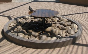 A pigeon enjoying the fountain
