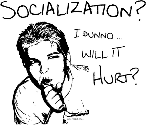 Homeschooling Socialization