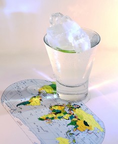 gin and tonic