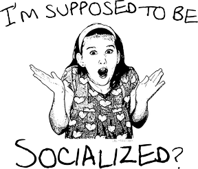 Homeschooling Socialization