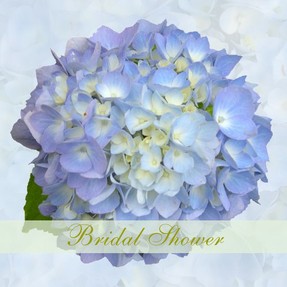 Blue Hydrangea Shower Invitation
