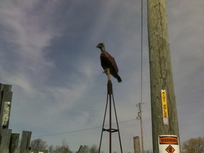 Folk Art Crane