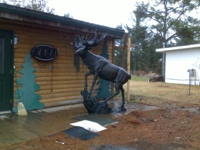 folk art moose