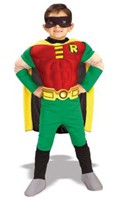 Kids Robin Costume