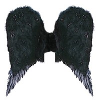 Dark Angel Wings