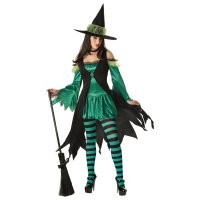 Teen Witch Costume