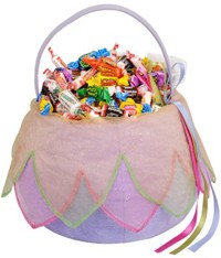 Fairy Trick or Treat Basket