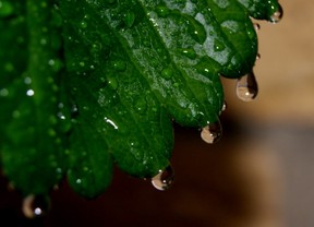 Little drops of water signify the Baby Steps of learning.