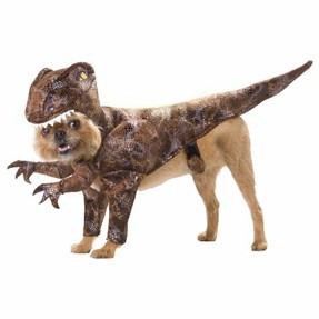 Dinosaur Raptor Dog Halloween Costume