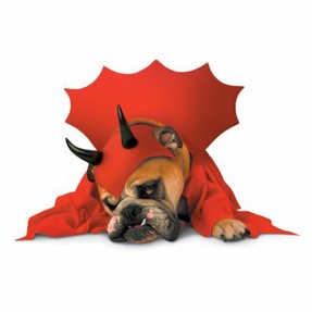Devil Dog Costume