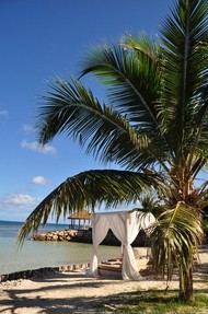 Luxury Tropical Resort
