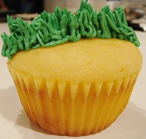 minecraft cupcake