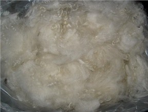 Raw Pygora fleece