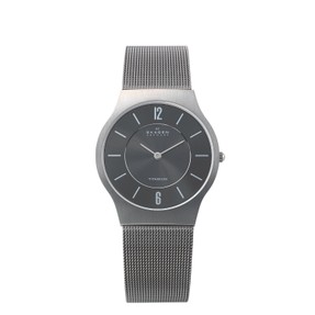 skagan titanium watch