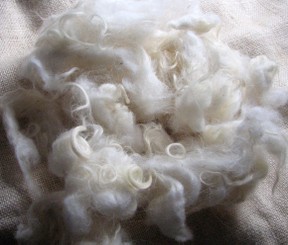 Dyeing Wool in a Crockpot