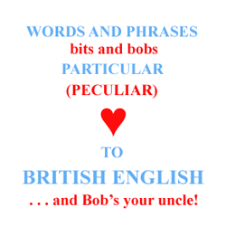 Words and phrases particular peculiar to British English