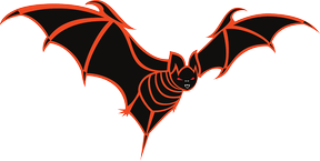 Image: Vampire bat