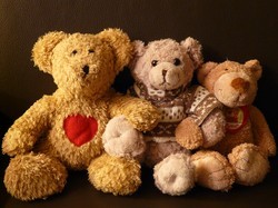 Image: Teddy Bears