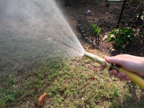garden nozzle easly adjusts to fine spray