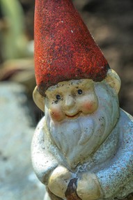 Image: Garden Gnome
