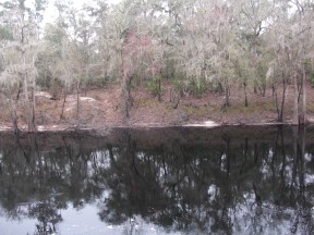 Suwannee River. Hamilton County, Florida