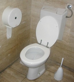 toilet with flush