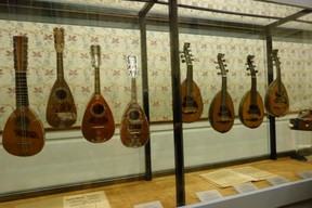 Collection of stringed instruments in the Museum
