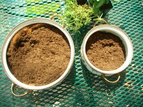 Fill planters with potting soil or dirt