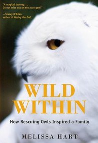 Wild Within Cover