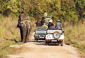 Jeep Safari Photo