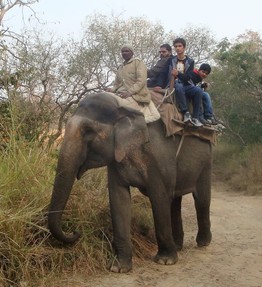 Elephant Patrol 