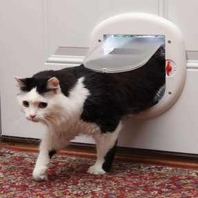 Big Cat - 4-Way Locking - Pet Doors