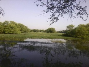 Bharatpur Wetlands