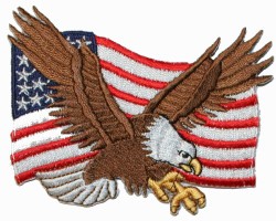 Medium Patriotic EST 1776 USA Bald Eagle American Flag Embroidered Biker Patch 